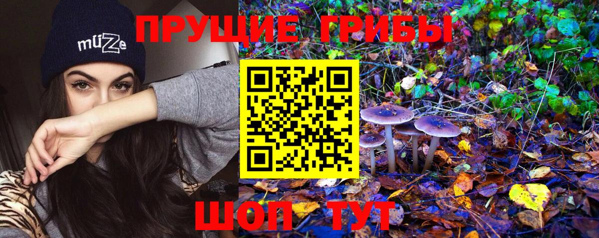 Галлюциногенные грибы Psilocybe  Вход с VPN  Галлюциногенные грибы Psilocybe  Златоуст 