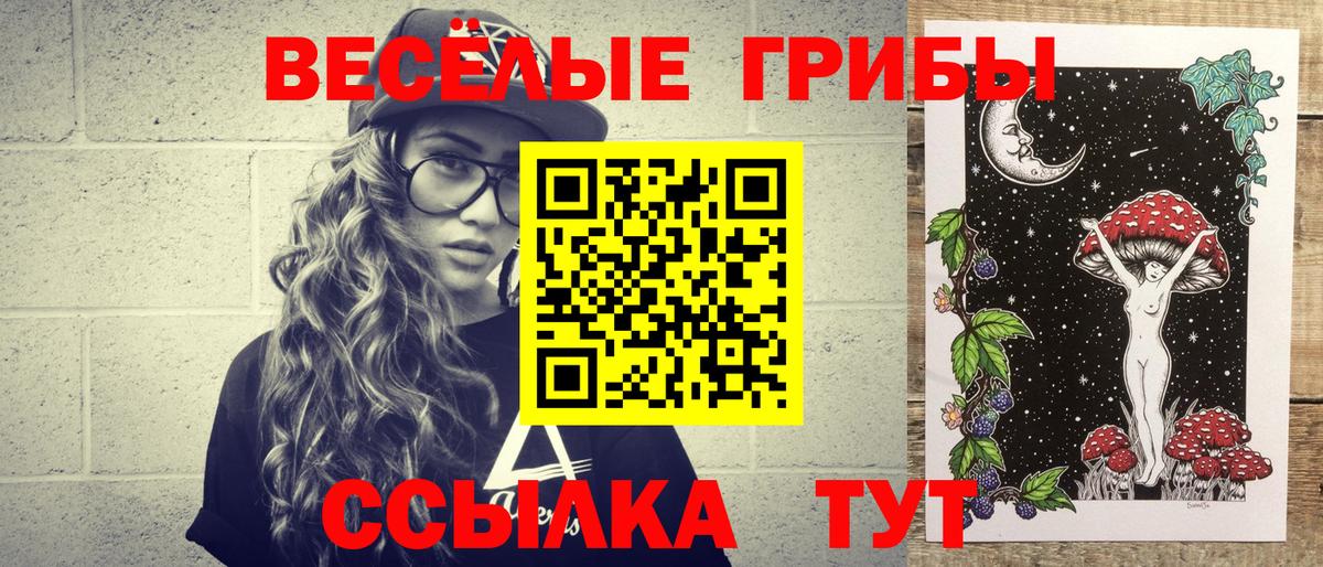 Галлюциногенные грибы Psilocybe Златоуст