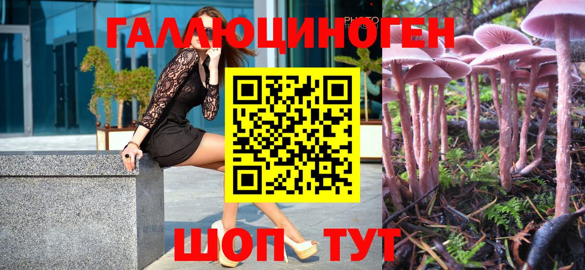 Псилоцибиновые грибы GOLDEN TEACHER  Псилоцибиновые грибы GOLDEN TEACHER  Златоуст 